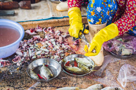 Fresh seafood on the Vietnamese market. Asian food concept.の写真素材