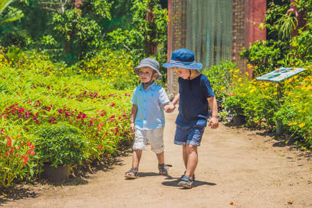 Two happy brothers running together on a park path in a tropical park.の写真素材