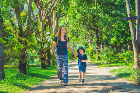 Mom and son are walking in the tropical park.の写真素材