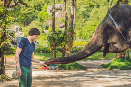man feed the elephant in the tropics.の写真素材