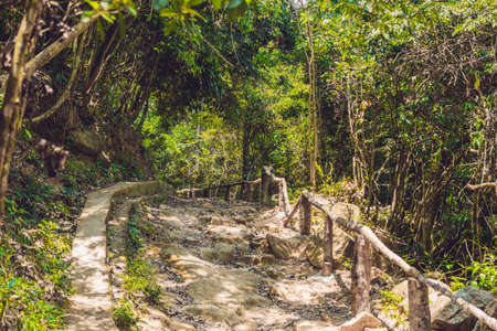 Rocky road among the forest in the tropics