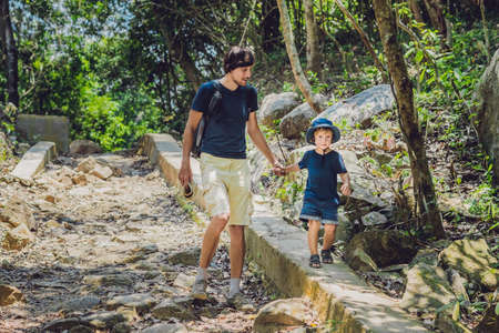 Father and son are walking along the forest road.の写真素材