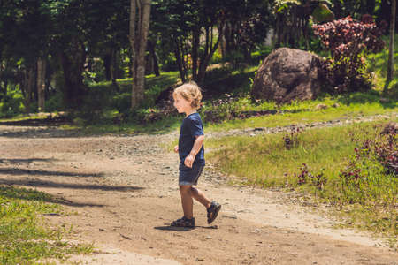 Little boy goes on forest trail. A child walks in the forest among the trees.の写真素材