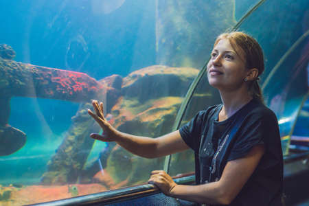 Young woman looking at fish in a tunnel aquarium.の写真素材