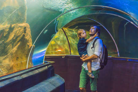 Father and son look at the fish in the aquarium in oceanarium.の写真素材