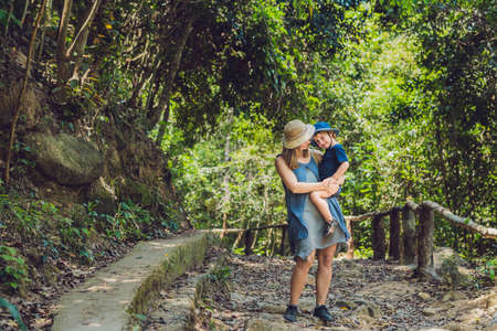 Mom and son are walking on the forest road.の写真素材
