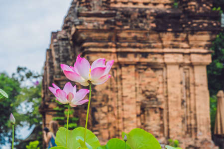 Old Brick cham towers in Nha Trang, landmark Vietnam. Asia Travel concept. Journey through Vietnam...