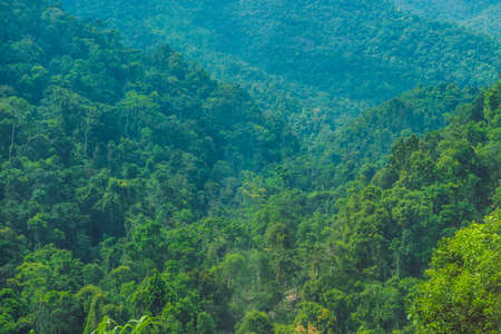 Fantastic landscape of Dalat Mountains, Viet Nam, fresh atmosphere, villa among forest, impression...