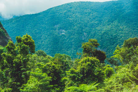 Fantastic landscape of Dalat Mountains, Viet Nam, fresh atmosphere, villa among forest, impression shape of hill and mountain from high view, wonderful vacation for ecotourism in spring.の写真素材