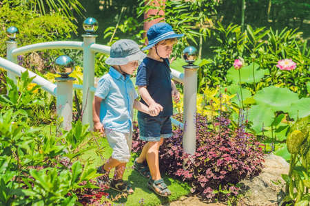 Two happy brothers running together on a park path in a tropical park.の写真素材