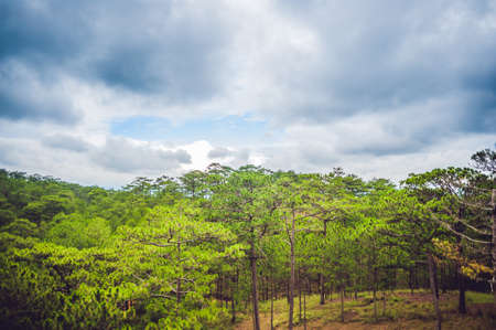 Fantastic landscape of Dalat Mountains, Viet Nam, fresh atmosphere, villa among forest, impression shape of hill and mountain from high view, wonderful vacation for ecotourism in spring.の写真素材