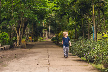 A boy walks in a tropical park.の写真素材