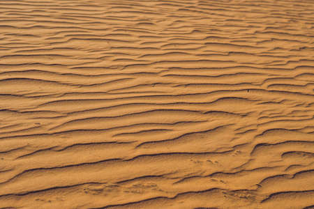 Sand with waves in the red desert.の写真素材