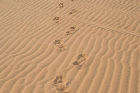 Footprints in the desert or beach sand.の写真素材