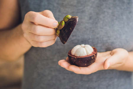 mangosteen on farmer hand hold tropical fruit.の写真素材
