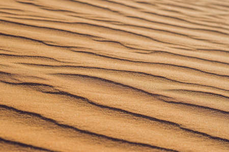 Sand with waves in the red desert.の写真素材