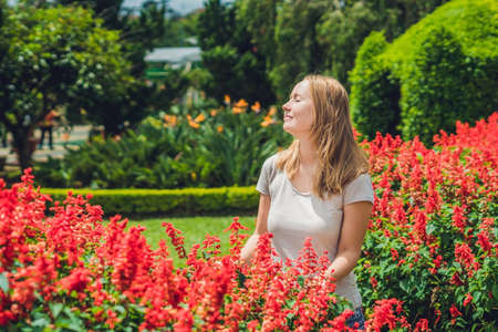 Young woman on the background of red salvia splendens flowers blooming in the garden.の写真素材