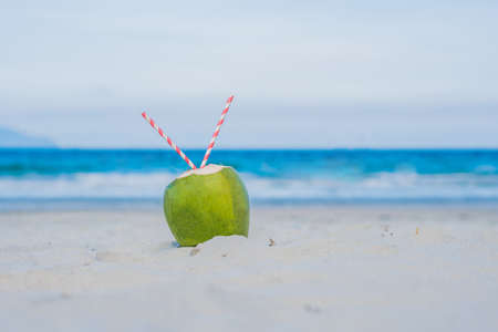 Coconut with straw in the sand on the beach.の写真素材