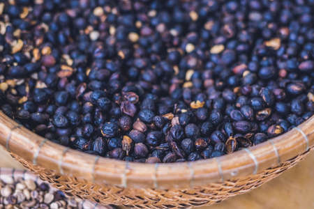 civet coffee ,Kopi Luwak ,Weasel coffee ,raw material for rarest most expensive coffee in world Kopi Luwak producing in Bali, Indonesia, Vietnam, Philippines and Thailand.の写真素材