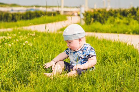 Cute little toddler baby boy child playing in the park on grass at day time. He having fun on the garden.の写真素材