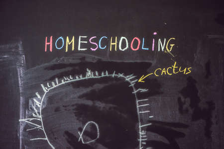 Homeschooling. The boy is drawing under word Homeschooling on a blackboard.の写真素材