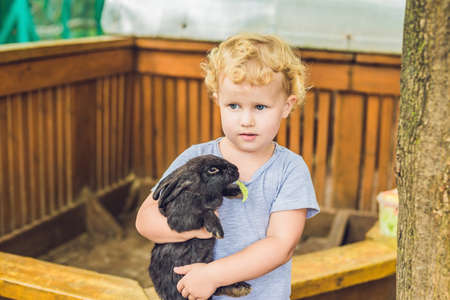 toddler girl caresses and playing with rabbit in the petting zoo. concept of sustainability, love of nature, respect for the world and love for animals. Ecologic, biologic, vegan, vegetarian.の写真素材
