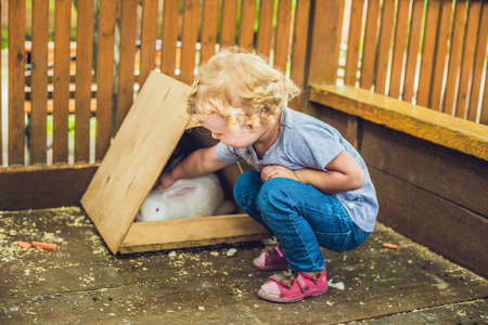 toddler girl caresses and playing with rabbit in the petting zoo. concept of sustainability, love of nature, respect for the world and love for animals. Ecologic, biologic, vegan, vegetarian.の写真素材