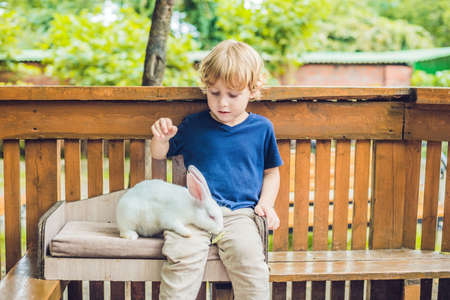 toddler boy caresses and playing with rabbit in the petting zoo. concept of sustainability, love of nature, respect for the world and love for animals. Ecologic, biologic, vegan, vegetarian.の写真素材