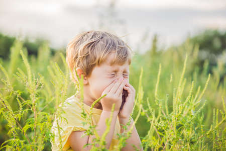 Boy sneezes because of an allergy to ragweed.の写真素材