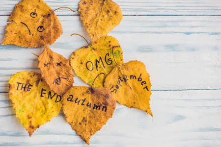 Yellow and green leaf with the inscription AUTUMN on the old wooden background.の写真素材