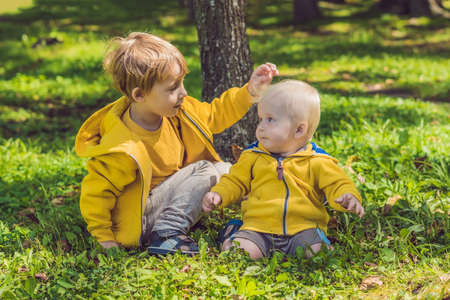 Two happy brothers in yellow sweatshirts in the autumn park.の写真素材