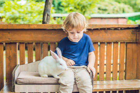 toddler boy caresses and playing with rabbit in the petting zoo. concept of sustainability, love of nature, respect for the world and love for animals. Ecologic, biologic, vegan, vegetarian.の写真素材