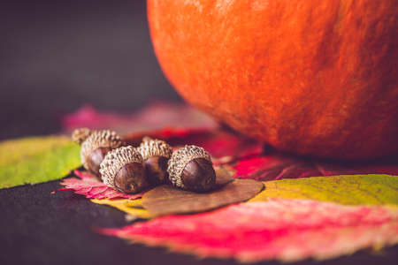 Fall season decoration for Thanksgiving or Halloween.の写真素材