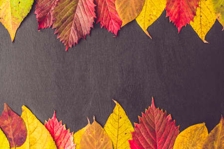 Autumn leaves over wooden background with copy space.の写真素材