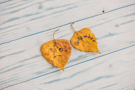 Yellow leaf with the inscription SEPTEMBER on the old wooden background.の写真素材
