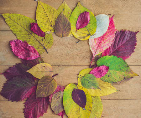 Autumn leaves over wooden background with copy space.の写真素材