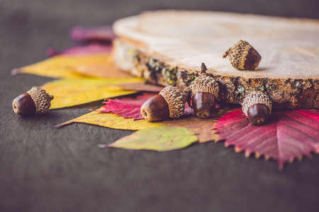 Autumn leaves over wooden background with copy space.の写真素材