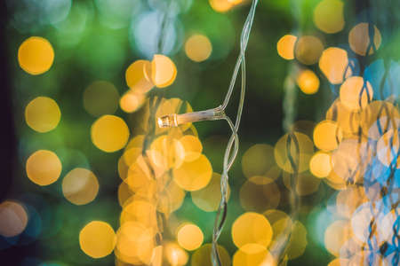 LED lights garland, colorful light bulbs on a bokeh background.の写真素材