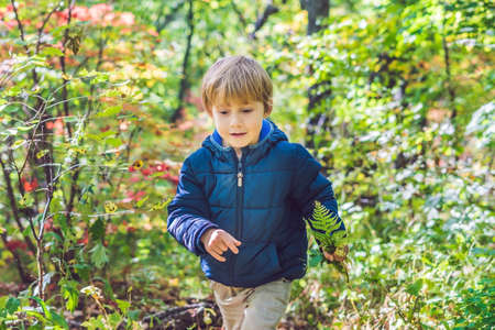 Little baby boy in the autumn park.の写真素材