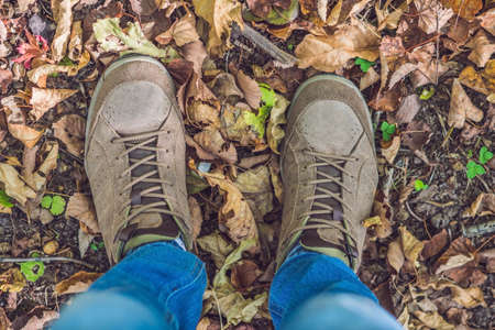 Feet sneakers walking on fall leaves in park with Autumn season nature on background Lifestyle Fashion trendy style.の写真素材