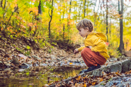 Little baby boy in the autumn park.の写真素材