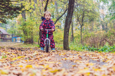 little boy having fun on bikes in autumn forest. Selective focus on boy.の写真素材