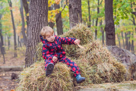 Boy sitting on a haystack in autumn.の写真素材