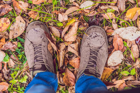 Feet sneakers walking on fall leaves in park with Autumn season nature on background Lifestyle...
