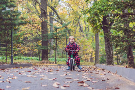 little boy having fun on bikes in autumn forest. Selective focus on boy.の写真素材