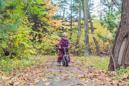 little boy having fun on bikes in autumn forest. Selective focus on boy.の写真素材