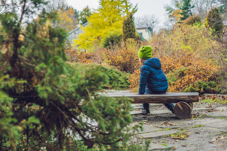 Cute little kid boy enjoying autumn day. Preschool child in colorful autumnal clothes learning to climb, having fun in garden or park on warm sunny day.の写真素材
