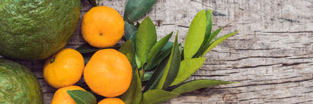 BANNER, Long Format Different types of citrus on an old wooden background.の写真素材