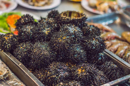 Fresh tasty seafood served on crushed ice, close-up.の写真素材