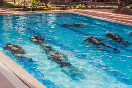 Diving instructor and students. Instructor teaches students to dive.の写真素材